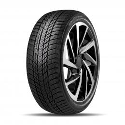 Roadstone Winguard Ice Plus 225/55R17 101T